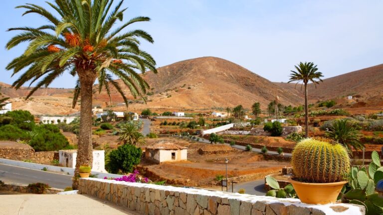 Fuerteventura - Bentacuria