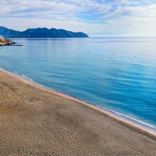 Naturaleza_R2 Verónica (2)